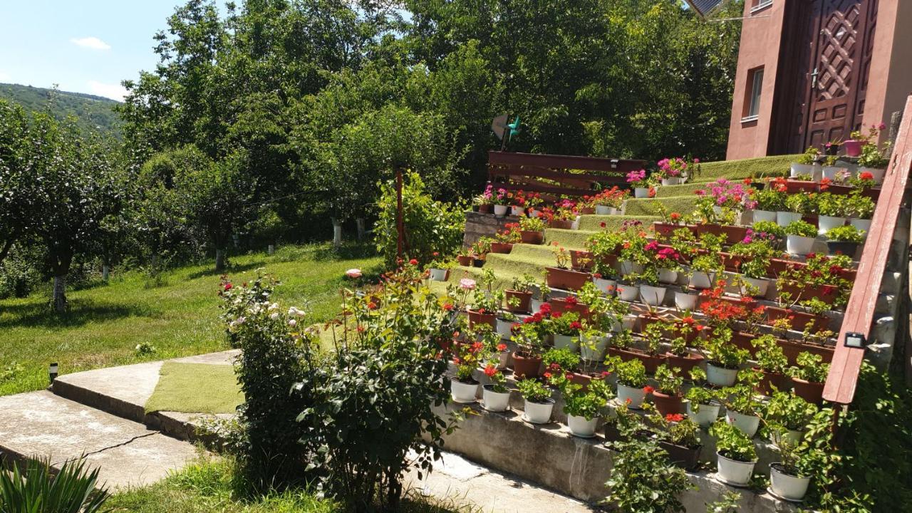 Casa Lorena Sarata-Monteoru Luaran gambar