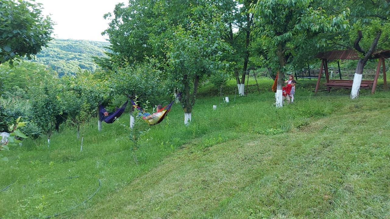 Casa Lorena Sarata-Monteoru Luaran gambar