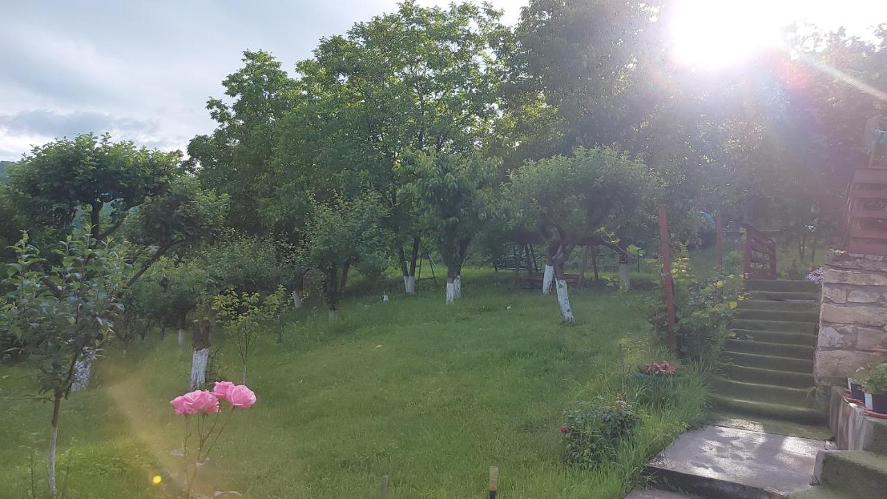 Casa Lorena Sarata-Monteoru Luaran gambar