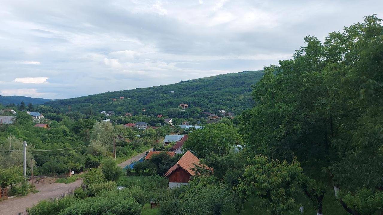 Casa Lorena Sarata-Monteoru Luaran gambar