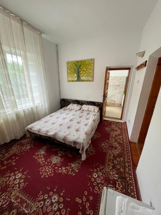 Casa Lorena Sarata-Monteoru Luaran gambar