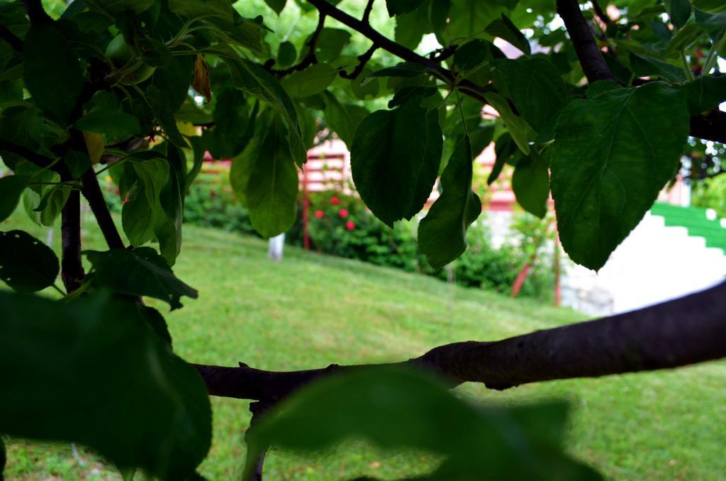 Casa Lorena Sarata-Monteoru Luaran gambar